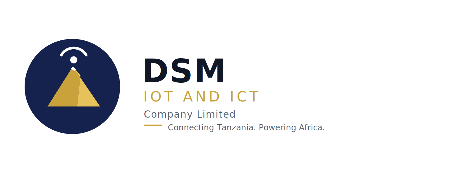 DSM IOT AND ICT COMPANY LIMITED